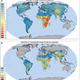 Illustration for article titled Collapse of Large Herbivores May Lead to Empty Landscapes Worldwide